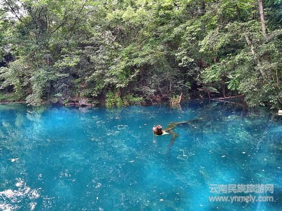 新浪博主：@QYRong