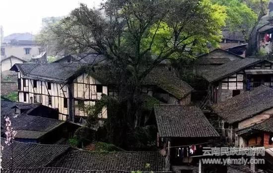 看點：納西原生態(tài)、明清建筑群、白沙壁畫