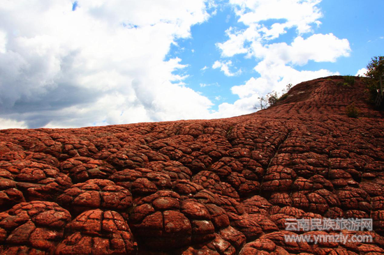 麗江老君山千龜山