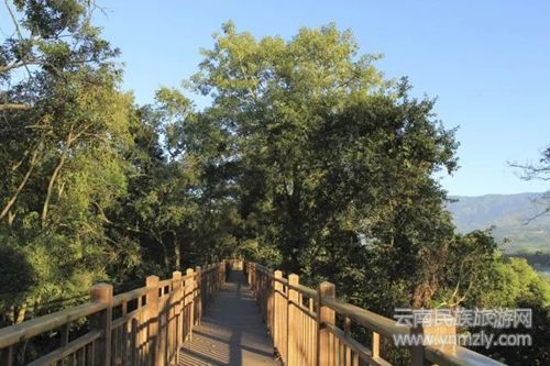 盈江游玩最強(qiáng)攻略 你得這樣玩 盈江游玩最強(qiáng)攻略 你得這樣玩