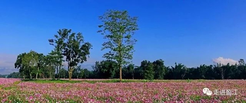 盈江游玩最強(qiáng)攻略 你得這樣玩 盈江游玩最強(qiáng)攻略 你得這樣玩