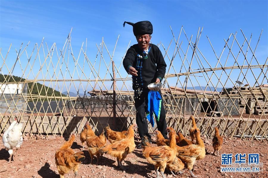 (新華全媒頭條·圖文互動)(2)行程萬里 人民至上——習近平總書記春節(jié)考察足跡回訪